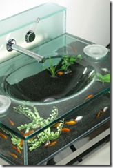 basin-aquarium2