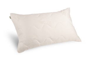 [Aloe Dream Mate Pillow[7].jpg]