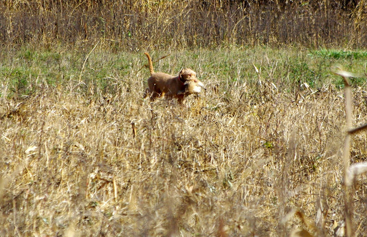 K%C3%A9p%20090.jpg