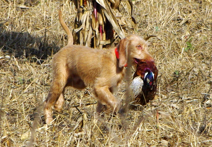 K%C3%A9p%20095.jpg