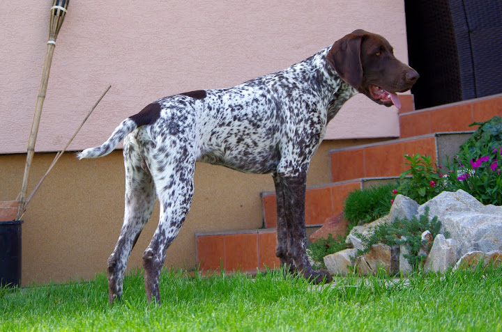 IMGP1286.JPG