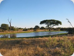 Botswana_nature