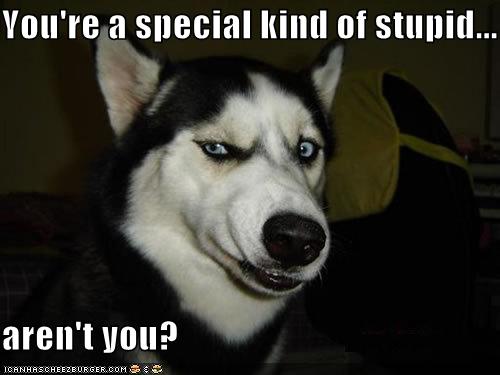 stupid%2520troll%2520picture.jpg
