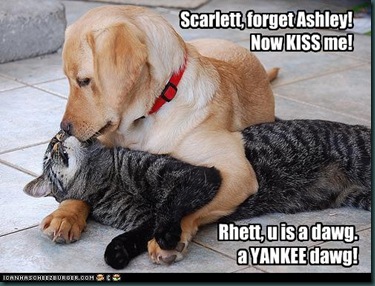 funny-pictures-cat-and-dog-kiss