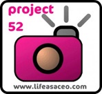 project52button2-300x275