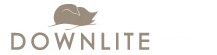 downlite_logo
