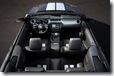Mustang GT500 2009 23
