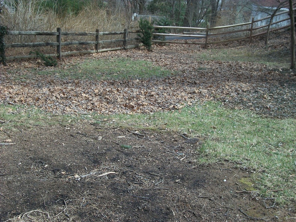 [100_06565.jpg]