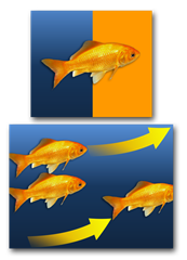 goldfish-fish-swim-graphic