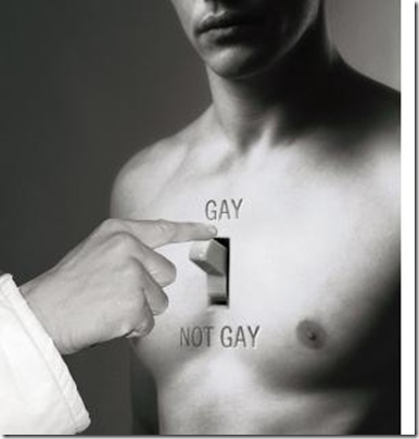 gay not gay