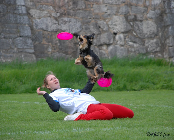 DSC_0208.JPG