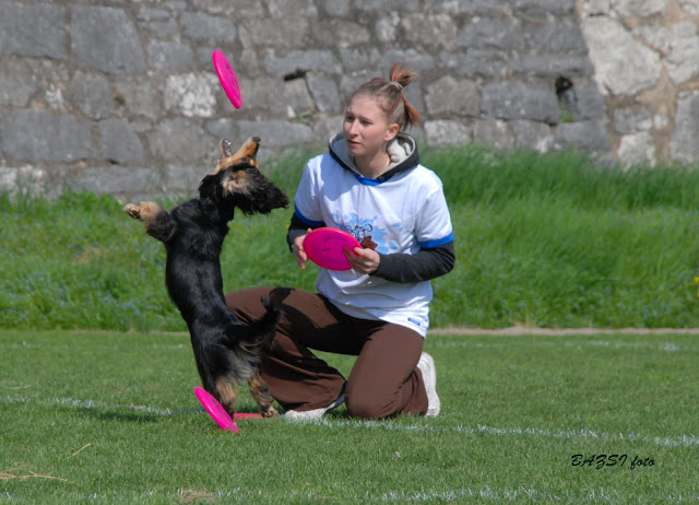 DSC_0107.JPG