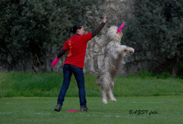 DSC_0333.JPG