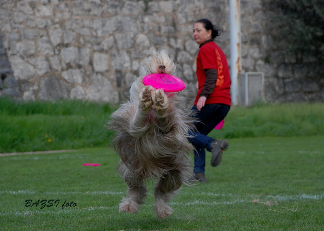 DSC_0348.JPG