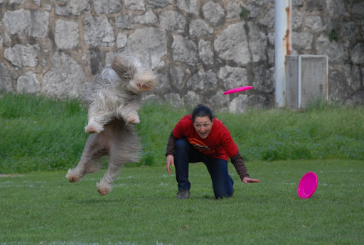 DSC_0356.JPG