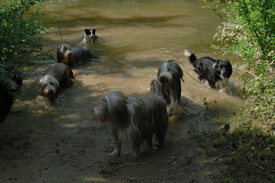 DSC_0010.JPG