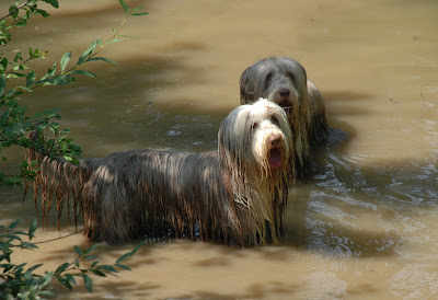 DSC_0025.JPG