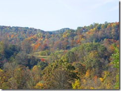 view from the porch