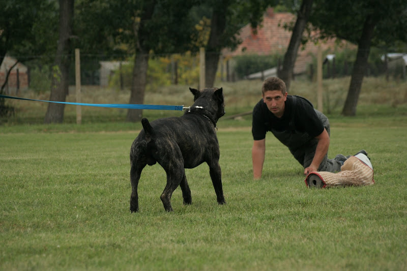 k%C3%A9p%201124.jpg