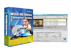[Winx_HD_converter_license[39].png]