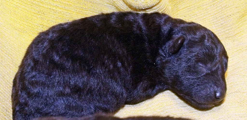 2011_0127itthoni0065ret.JPG