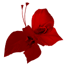 mot%C3%BDl%202.png