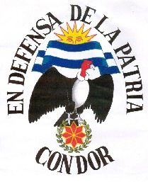 [Movimiento-Condor[4].jpg]