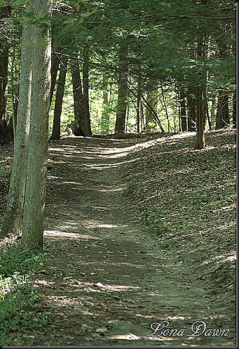 CantwellCliffs_UpperTrail