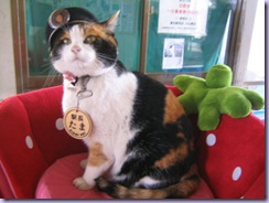 Tama Tama
