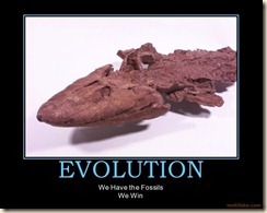 evolution-fossils-win