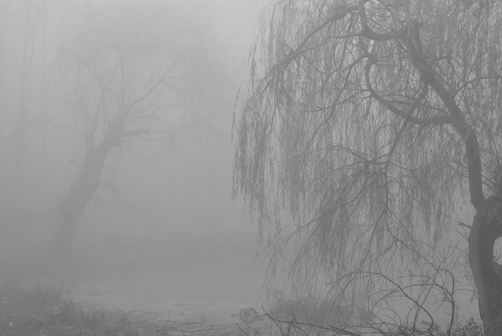 [Eerie fog[6].jpg]