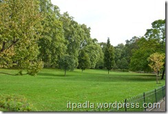 газон в парке Лондона
