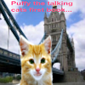 Talking cat Puffy’s first book logo