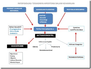 Makalah Hipertensi Dalam Kehamilan Pdf Contoh Makalah
