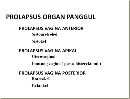 Prolapsus Organ Panggul