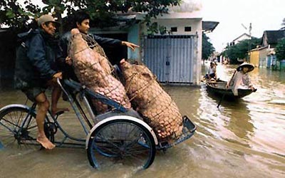 [Funny Vehicle and Ride Only in Vietnam Living (17).jpg]