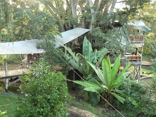 Trout Tree Restaurant (photo Tim Rutherford)