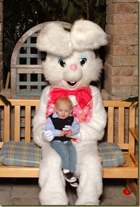 bunny 2010