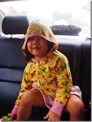DSC03982