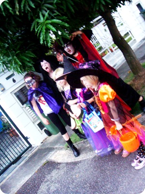 DSC08050