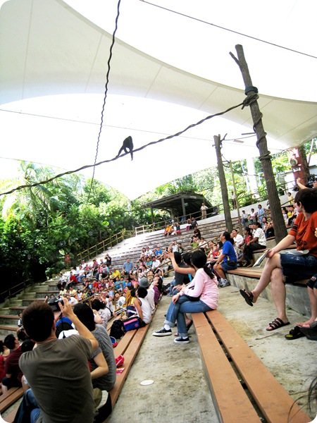 26 Nov 052 26 Nov 052