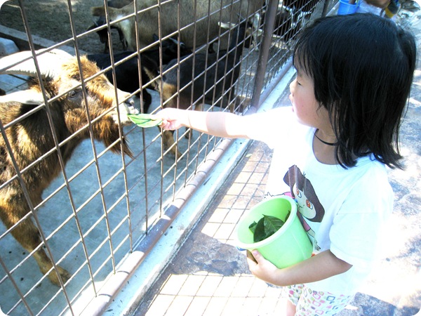 26 Nov 073 26 Nov 073