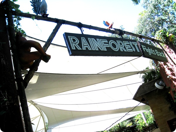 26 Nov 043 26 Nov 043