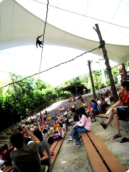 26 Nov 051 26 Nov 051