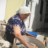 IMG_4732.JPG