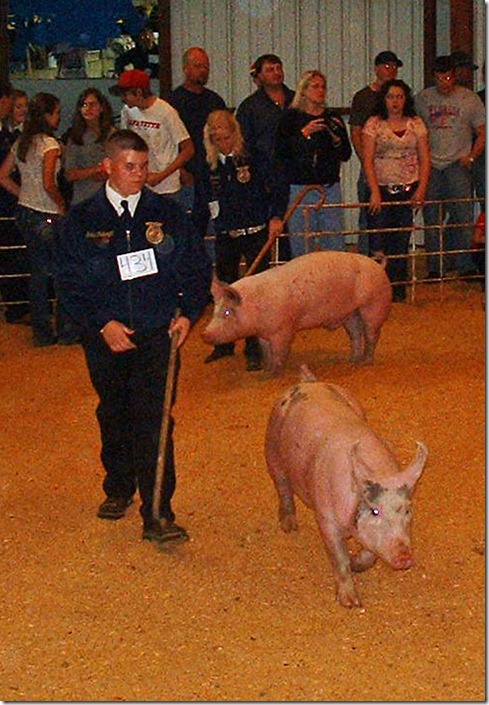 Fair Hog Show 060