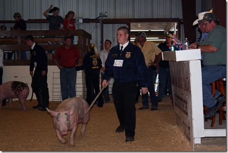 Hog Show 064 - Copy Hog Show 064 - Copy