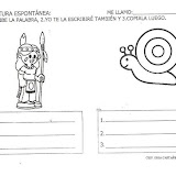 indiocaracol.JPG
