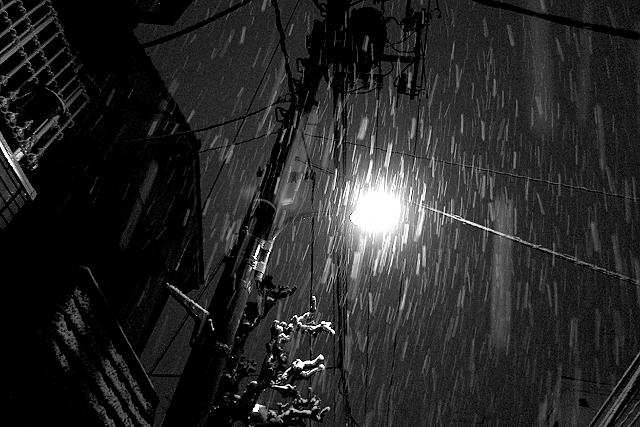 Shinjuku Mad - Radiating with snow 09