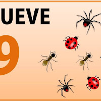 Diapositiva9.JPG